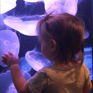 Meet your Posher, Lucy